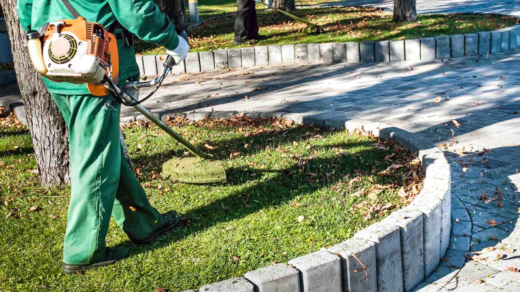 Autumn work in the park. The gardener cuts the grass before winter.